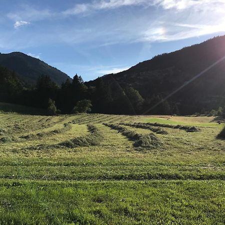 Chalet La Merlerie 모르진 외부 사진