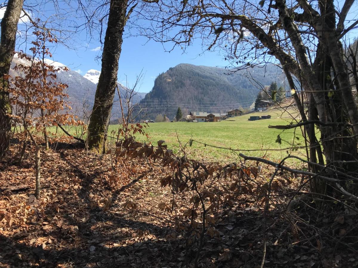 Chalet La Merlerie 모르진 외부 사진
