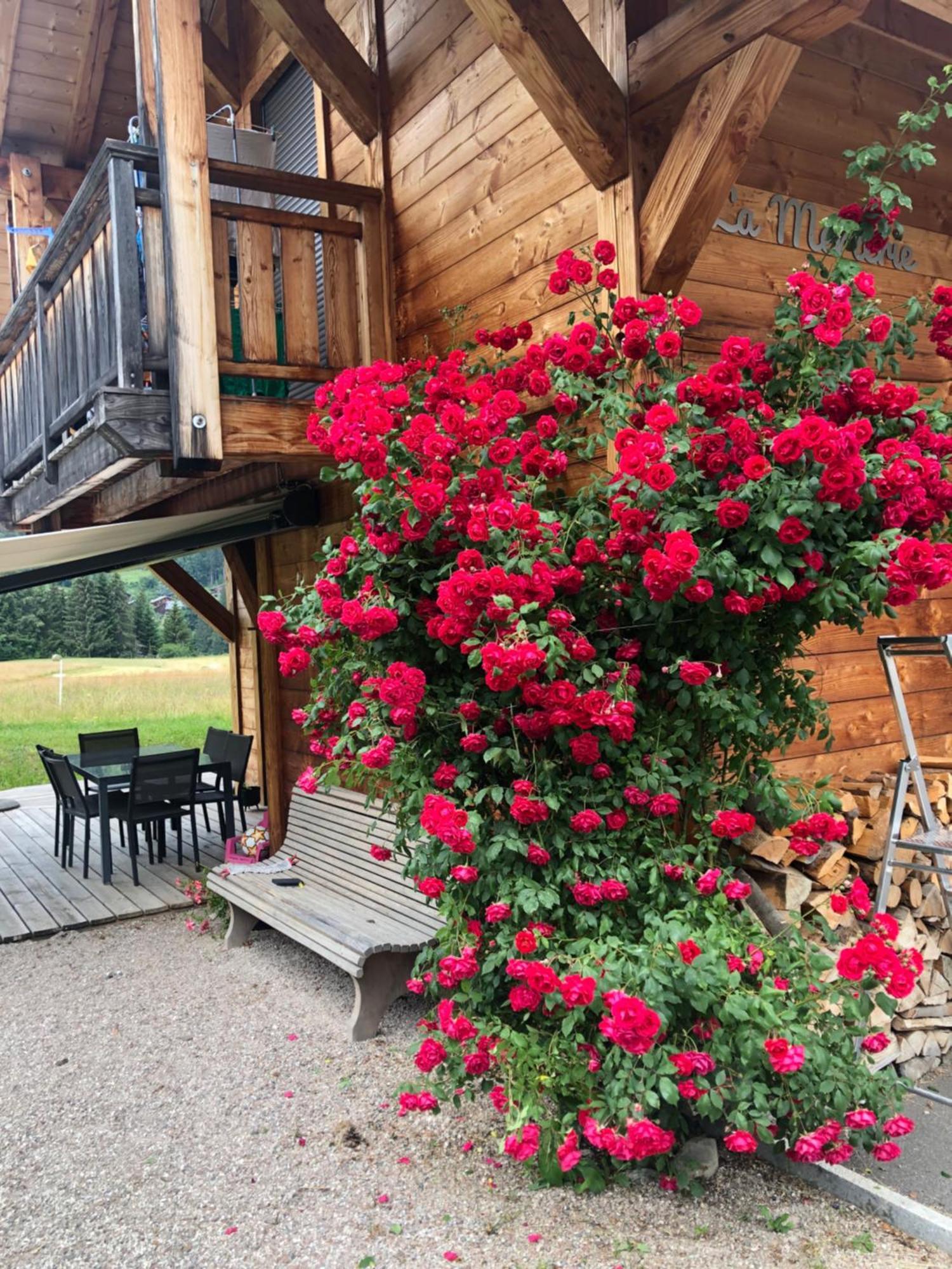 Chalet La Merlerie 모르진 외부 사진