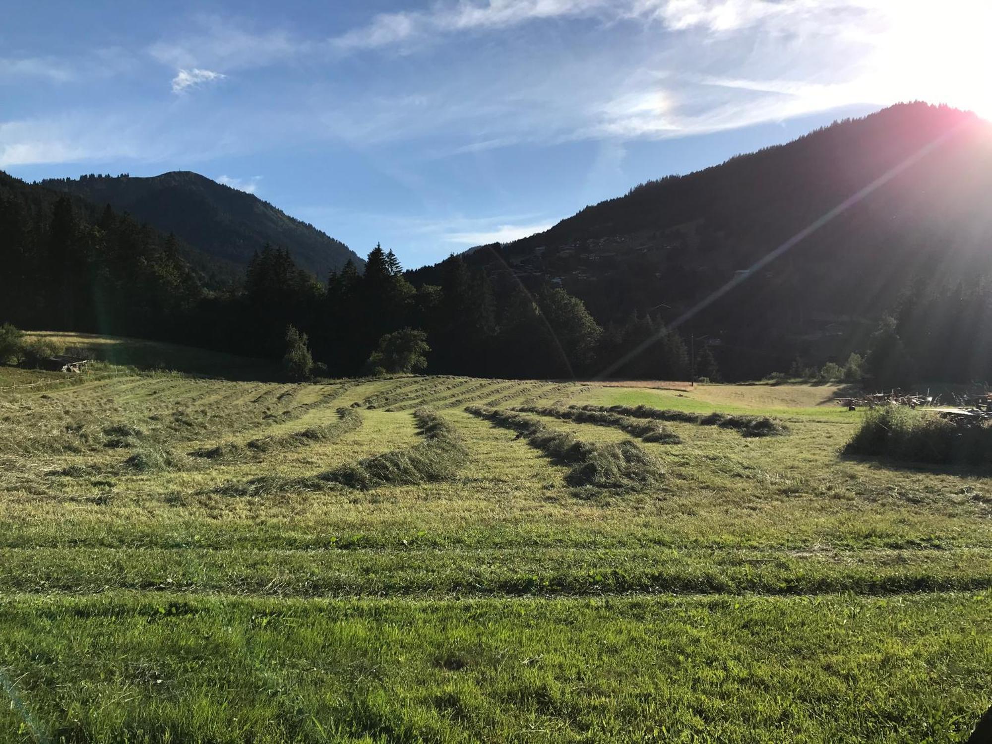 Chalet La Merlerie 모르진 외부 사진